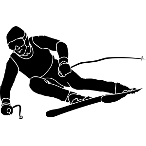 סט מדבקות קיר | קקטוסים