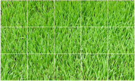 מדבקות רצפה | דשא