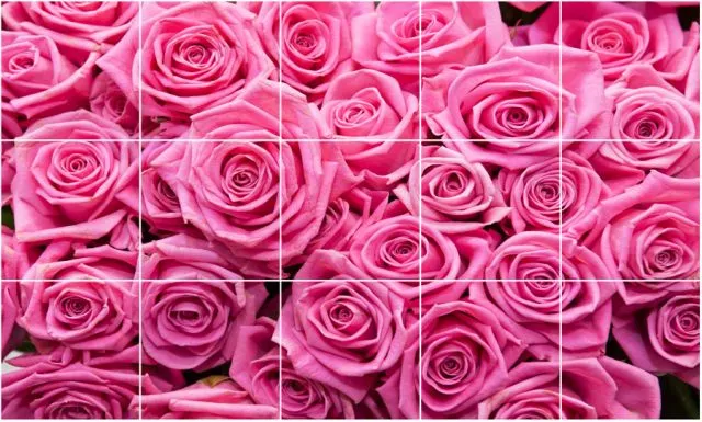 אריחים לרצפה | ורדים ורודים