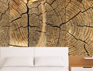 טפט טבעות העץ | טפט מדבקה | טפט סלון