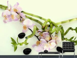 טפט מדבקה | סחלב ורוד