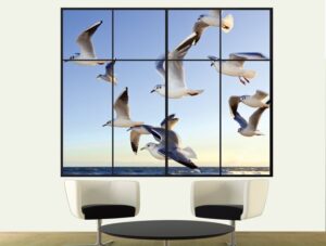 מדבקת קיר תלת מימדית לסלון | מדבקת קיר | שחפים בחלון