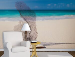 טפט מדבקה | קונכיות