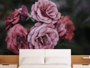 טפט לחדר שינה | טפט מדבקה | ורדים עם טל