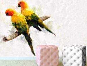 טפט לחדר שינה | טפט מדבקה | תוכים מצויירים