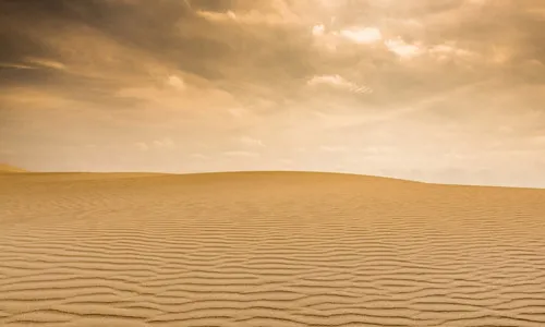 טפט מדבקה | נוף מדברי