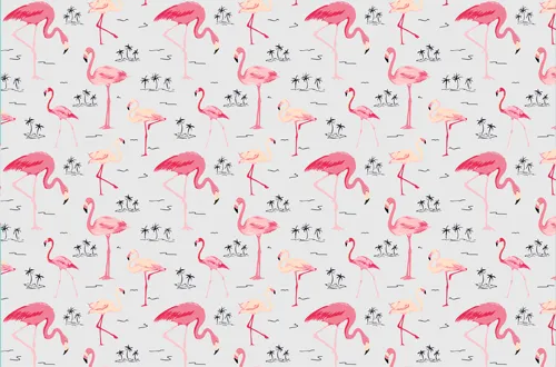 טפט מדבקה | פלמינגו וורדרד