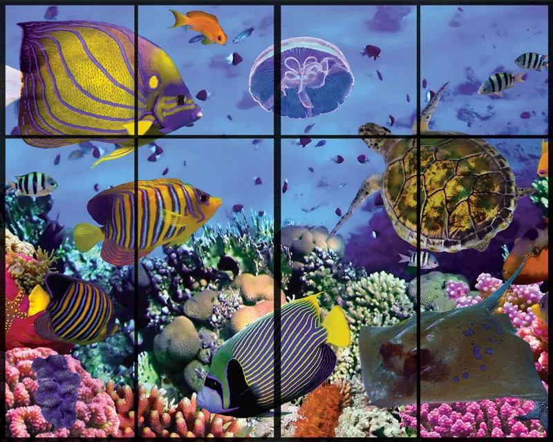 מדבקת קיר | חלון לתחתית הים