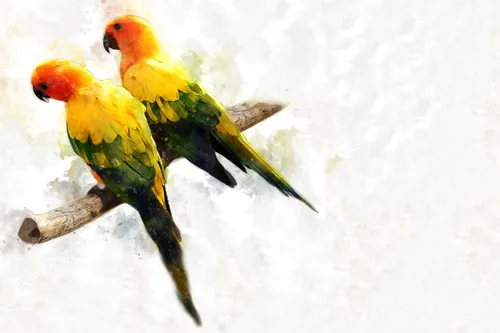 טפט מדבקה | תוכים מצויירים