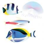 מדבקה לזכוכית | דגיגונים