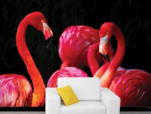 טפט מדבקה | פלמינגואים