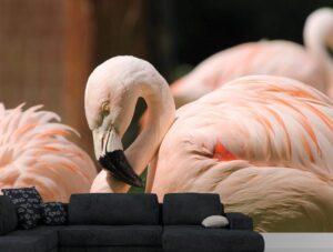 טפט מדבקה | פינק פלמינגו