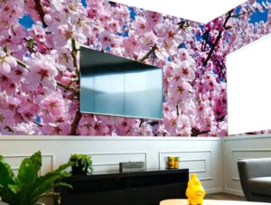 טפט מדבקה | שקדיה פורחת