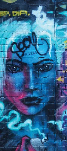 טפט לדלת | גרפיטי