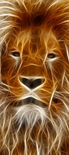 טפט לדלת | אריה מצוייר