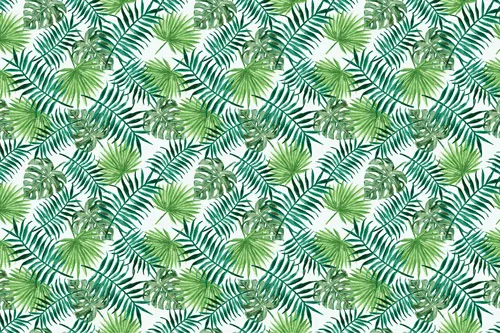 טפט מדבקה | ג'ונגל