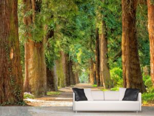 טפט עצים וטבע