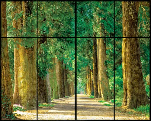 מדבקת קיר חלון ליער קסום