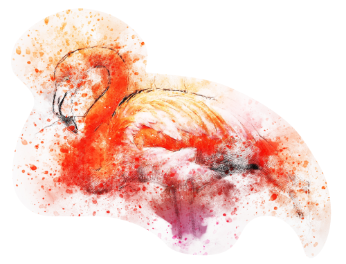 מדבקת קיר צבעונית פלמינגו בצבעי מים