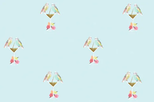 טפט תכלת פסטל תוכים וקוקטייל