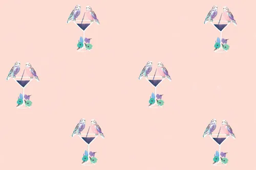 טפט ורוד פסטל תוכים וקוקטייל