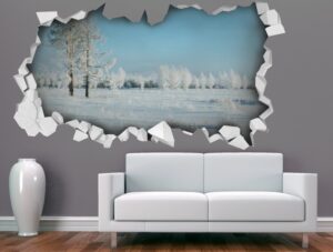 מדבקת תלת מימד יום יום בשלג