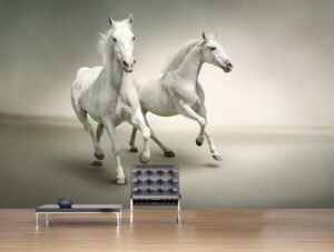 טפט סוסים לבנים