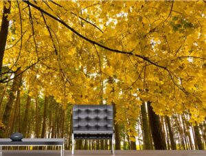 טפט יער צהוב