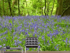 טפט יער לבנדר