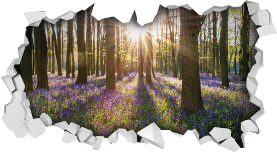 מדבקה תלת מיימדית של יער לבנדר