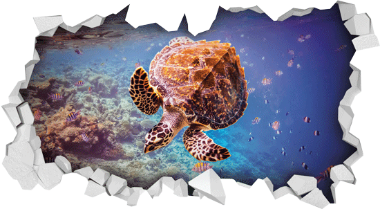 מדבקת תלת מיימד מבט אל המצולות