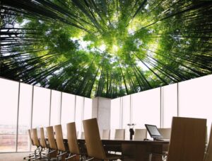 טפט תקרה יער יקור