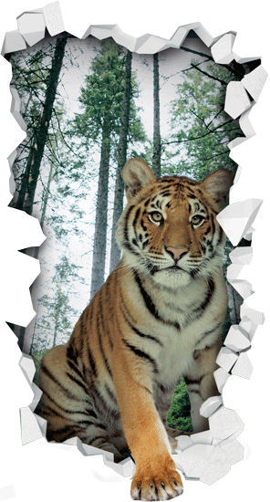 טיגריס יוצא מהקיר