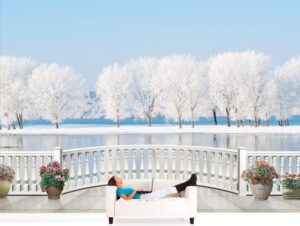 טפט מרפסת עם נוף לאגם קפוא