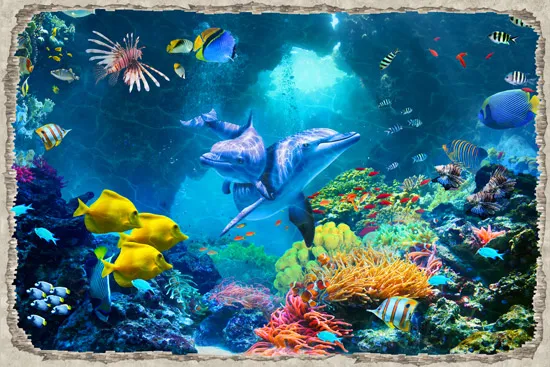 חור הקיר מעמקי הים