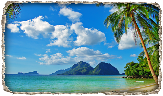 מדבקת חור בקיר חוף ים טרופי