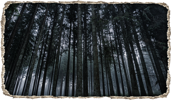 חור בקיר עם נוף של יער