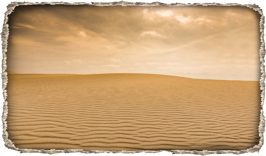 מדבקת קיר תלת מיימדית עם נוף של מדבר יפיפה