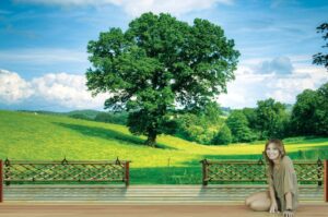 מדבקת טפט של מרפסת עץ עם נוף ירוק יפה