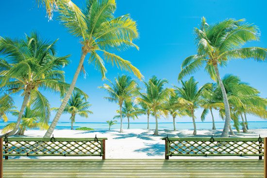 מדבקת טפט של מרפסת תלת מימדי עם נוף של חוף ים טרופי