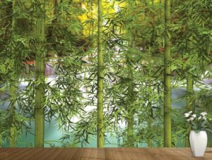 טפט | אגם עם במבוקים