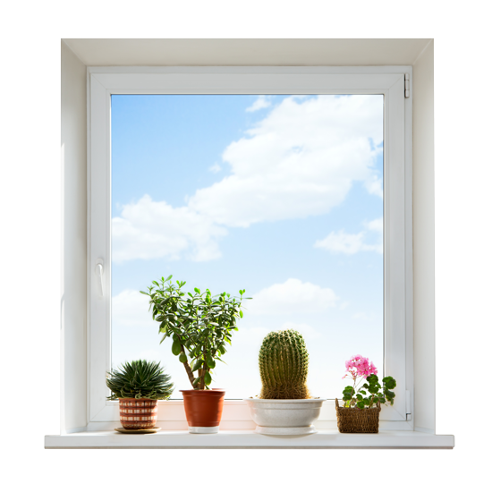 מדבקת קיר | חלון עם נוף של שמים ועציצים