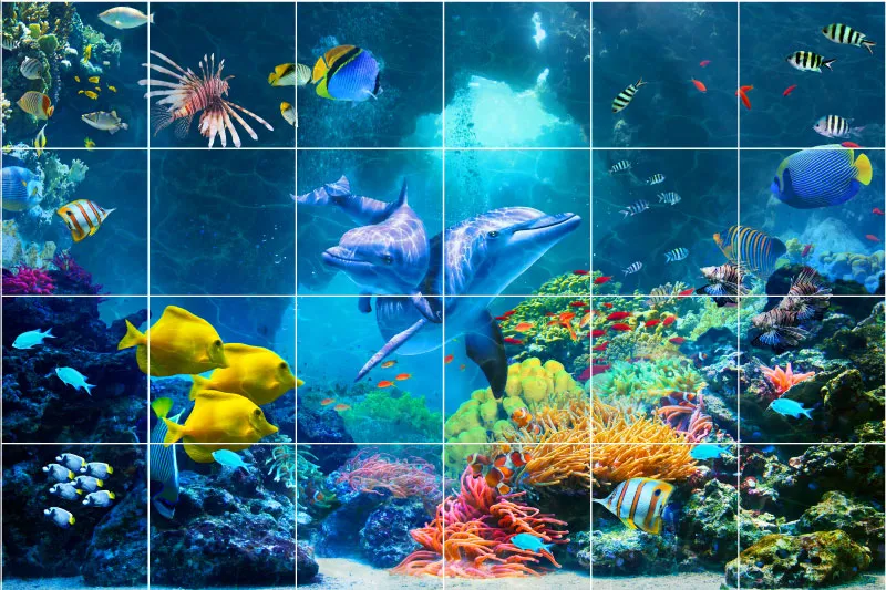 מדבקות לאריחים | דולפינים ודגים בים