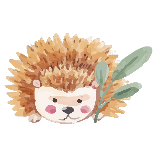 מדבקת קיר | קיפוד קטן וחמוד