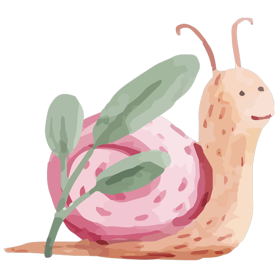 מדבקת קיר | חילזון חמוד