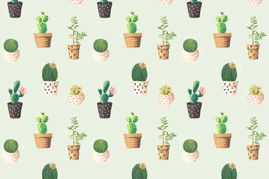 טפט | קקטוסים