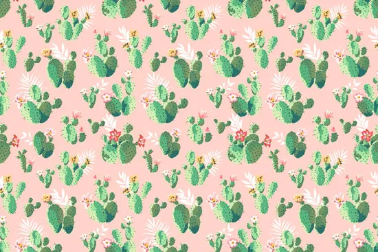 טפט | קקטוסים ירוקים על רקע ורוד