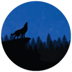 מדבקת קיר | זאב יפיפה