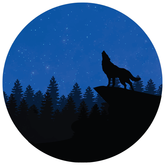 מדבקת קיר | זאב יפיפה