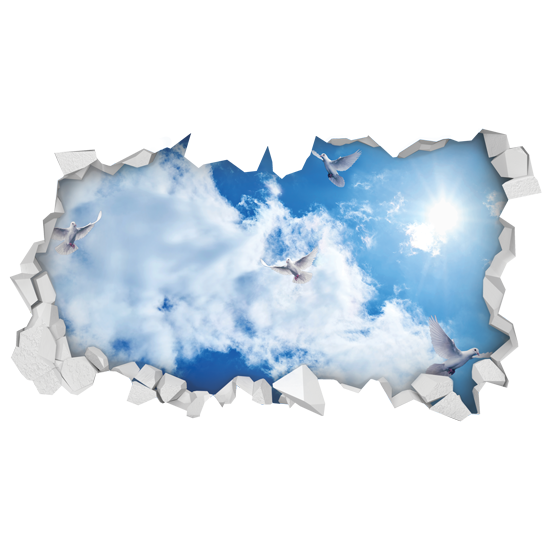 מדבקה | שמים עם יונים לבנות